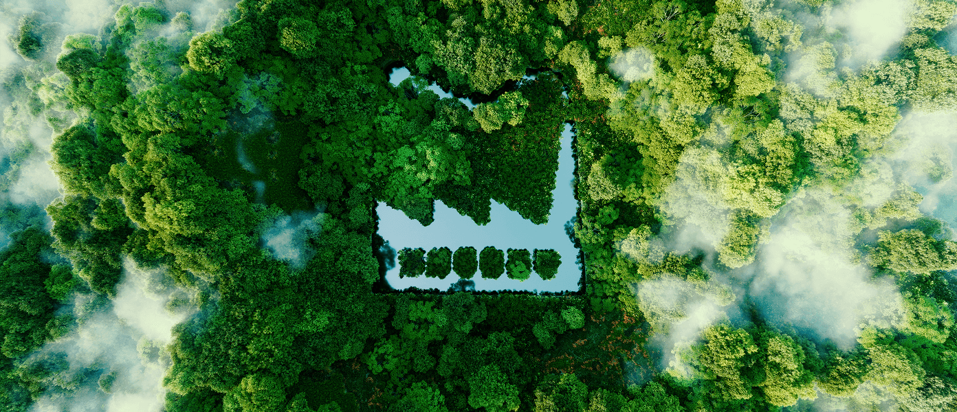 Sustainable development