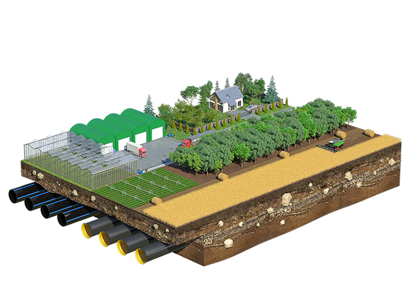 Kənd Təsərrüfatı